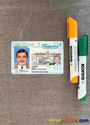 USA Tennessee driving license photolook